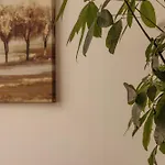 Zen קלוז'-נאפוקה