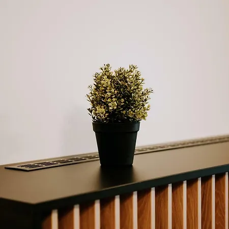 Zen Apartment