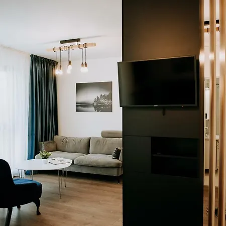 Zen Kluż-Napoka