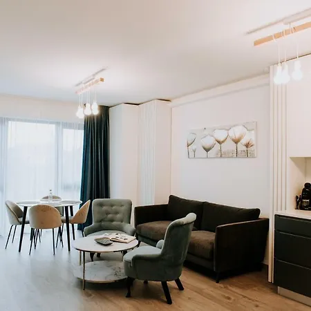 Zen Cluj-Napoca