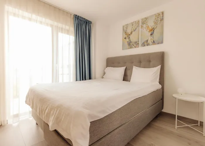 Lägenhet Zen Cluj-Napoca